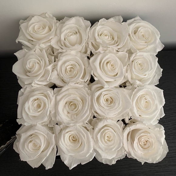 Meet your Posher, Molly - Picture 1 of 1